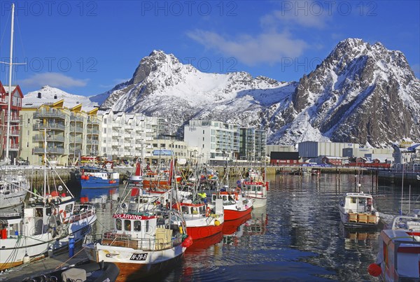 Colourful boats in the harbour, surrounded by snow-covered mountains and a lively town, fishing,