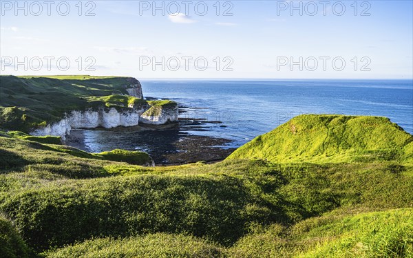Cliffs over Flamborough Seawatch Observatory, Flamborough, Yorkshire, England, United Kingdom,