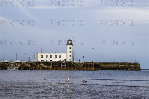 Scarborough Lighthouse and Harbour, Vincent Pier, Scarborough, North Yorkshire, England, United