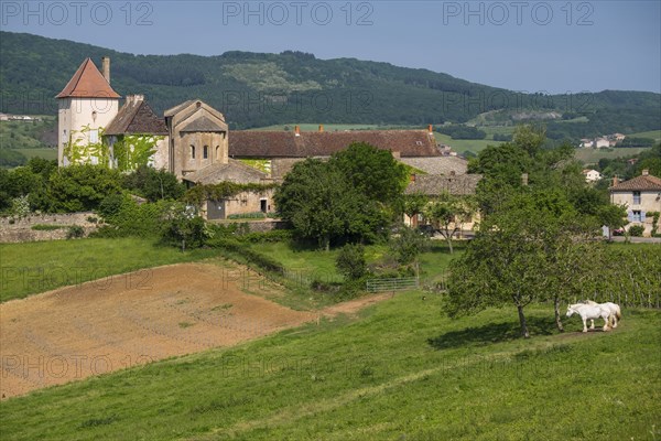 Le château des Moines, castle and chapel, chapel of the monks, chapel of a former Cluniac priory,