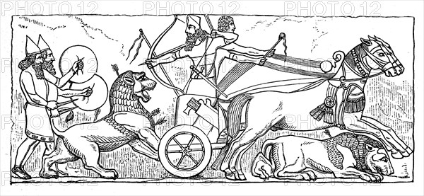 Assyrian warriors, lion hunt with a chariot, Assyria, Assyrian Empire, ca 800 BC, Illustration from