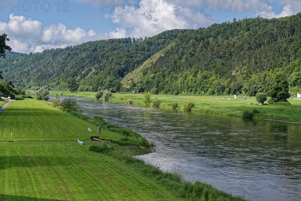 Weser and the park-like banks of the Weser near the Münchhausen town of Bodenwerder. Weserbergland,
