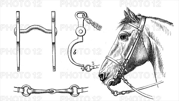 Curb bit, bridle, horse bridle, illustration from 1880, historical, digital reproduction of an