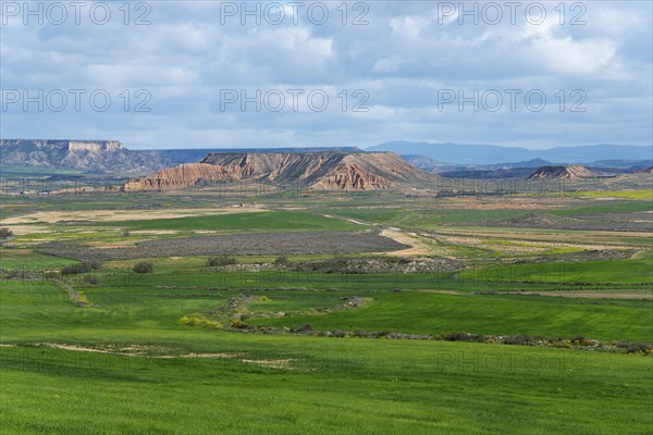 Extensive green fields and hilly landscape under a cloudy sky, Bardenas Reales Natural Park,