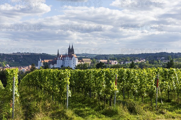 Proschwitz Castle is a castle in the neo-baroque style in the Meissen district of Proschwitz in the