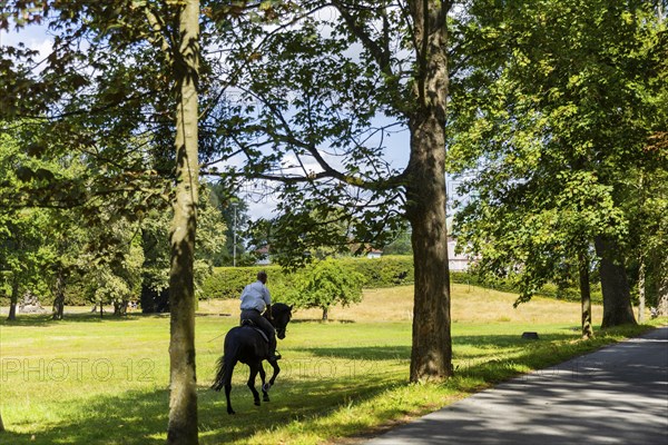 Rider at the Fasanenschlösschen The Fasanenschlösschen is a castle complex in the municipality of
