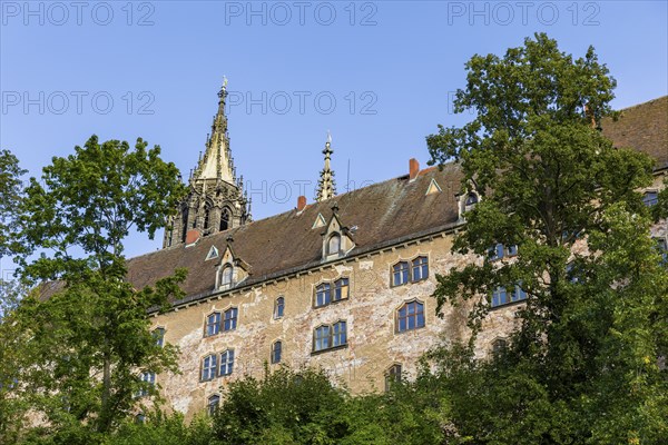 Kornhaus and Domspitze, Meissen, Meissen, Saxony, Germany, Europe
