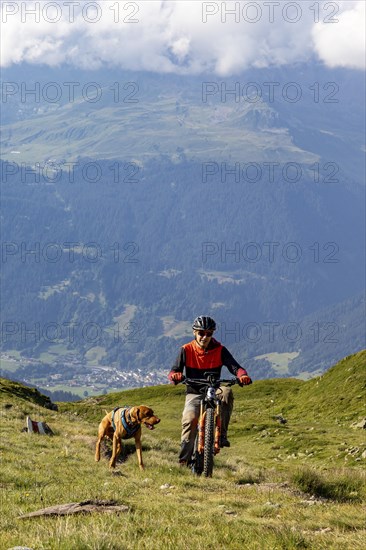 Mountain biker with traildog, man with Vizsla dog on a bike trail, Pischa, Hüreli above Davos,