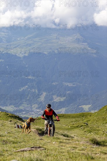 Mountain biker with traildog, man with Vizsla dog on a bike trail, Pischa, Hüreli above Davos,