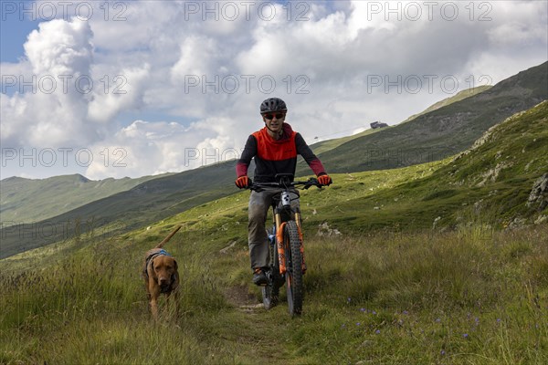 Mountain biker with traildog, man with Vizsla dog on a bike trail, Pischa, Flüela Pass, Grisons,