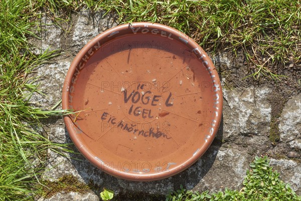 Water-filled bowl on the ground as a drinking trough for birds, hedgehogs and squirrels, Germany,