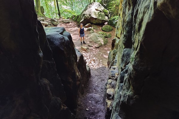 View from a crevice onto the Teuflische Acht hiking trail, Naturpark Südeifel, Irrel, Eifel,