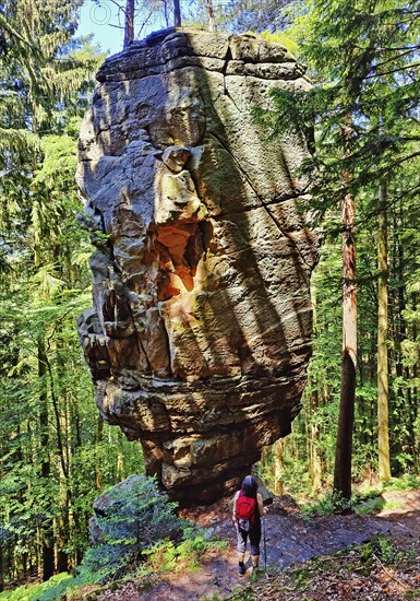 Bizarre rock Predigtstuhl on the Green Hell hiking trail, Southern Eifel nature park Park,