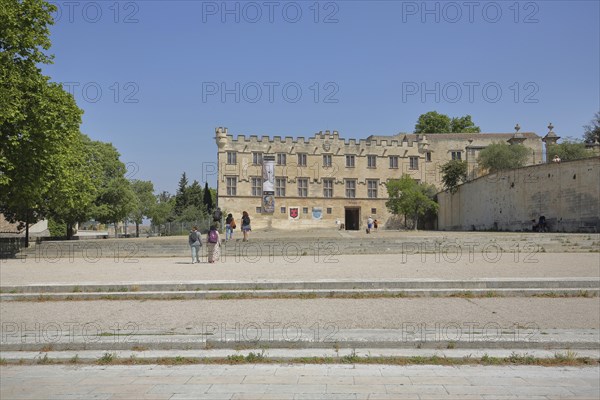 Musée du Petit Palais, Museum, Stairs, People, Place du Palais, Avignon, Vaucluse, Provence,