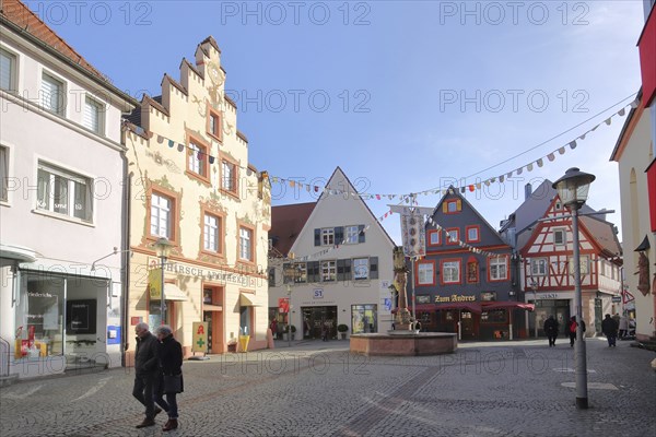 Fish market with historic stag pharmacy with stepped gable and lion fountain with carnival,