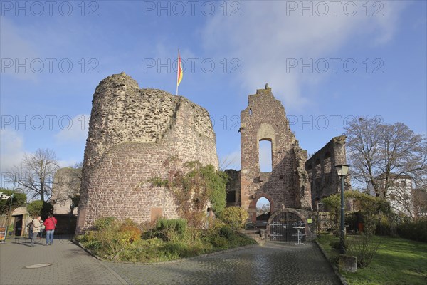 Romanesque Palas, Hayn Castle, historical ruin, Dreieichenhain, Dreieich, Hesse, Germany, Europe