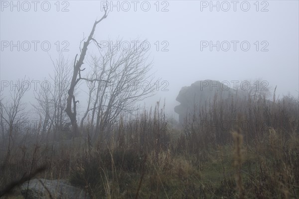 Legendary Brunhildis rock in the fog, stone figure, nature, gloomy, landscape, grey, monochrome,