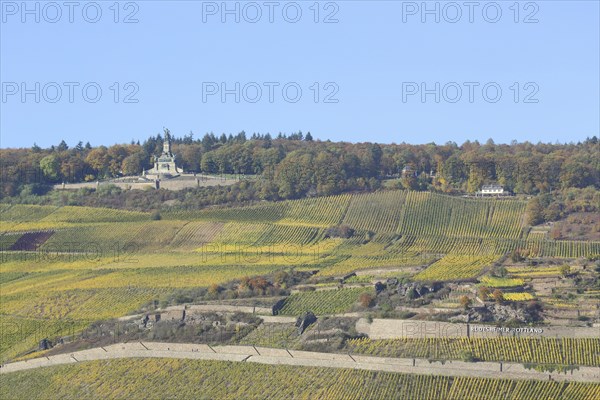 View of UNESCO Niederwald Monument with vineyards, vineyards, fields, autumn landscape, autumn,