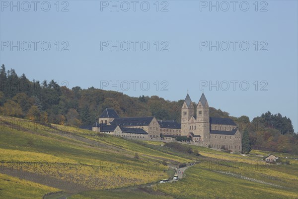 Neo-Romanesque UNESCO St Hildegard Abbey with vineyards, Eibingen, Rüdesheim, Rheingau, Taunus,