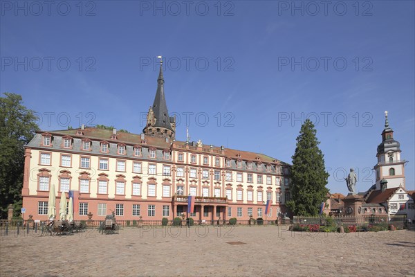 Baroque castle with tower and town church, market square with monument, Erbach, Hesse, Odenwald,