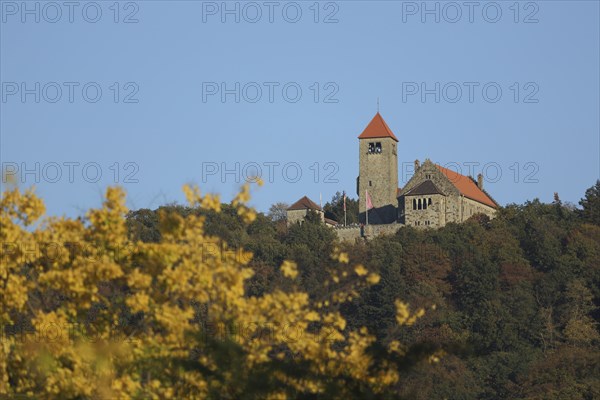 Wachenburg in autumn, castle, landscape, Weinheim, Bergstrasse, Baden-Württemberg, Germany, Europe