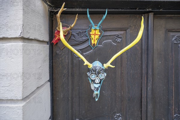 Colourfully painted antlers on a front door, Mainbernheim, Lower Franconia, Bavaria, Germany,