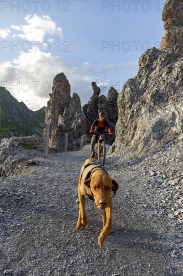Trail dog and mountain biker in the mountains, Davos, Graubünden, Switzerland, Europe
