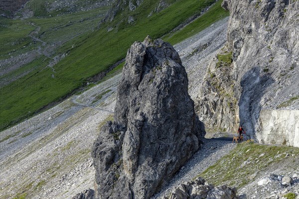 Mountain biker with traildog, man with his Vizsla on a path in the mountains, Davos, Graubünden,
