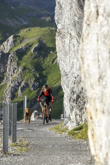 Mountain biker with traildog, man with his Vizsla on a path in the mountains, Davos, Graubünden,