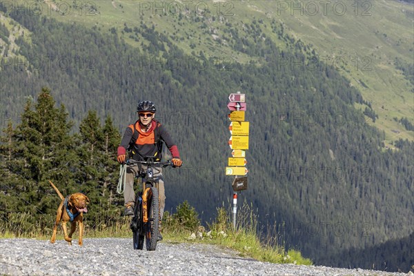 Mountain biker with traildog, man on a mountain bike with his dog, Panoramaweg, Davos, Graubünden,