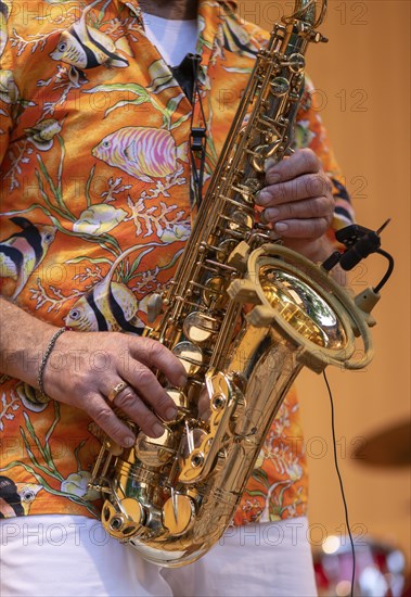 Detail shot, saxophonist Ulrich Schneider of the jazz band LoT Late on Tuesday, Stuttgart,