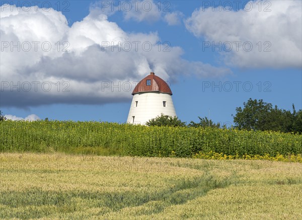 Windmill with grain field Escher Auetal Germany
