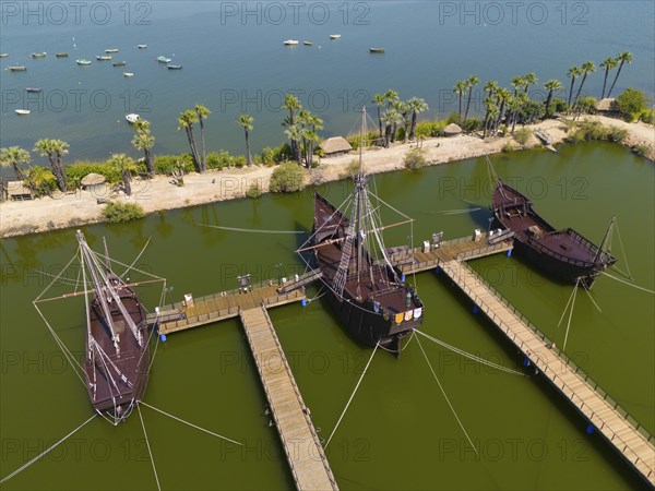 Several historic sailing ships in a water basin surrounded by tropical palm trees under a clear