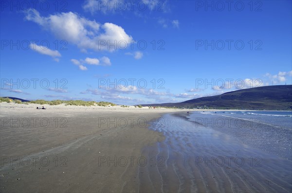 Empty sandy beach with shallow water and blue sky, Inch Bay, Dingle, Ireland, Europe