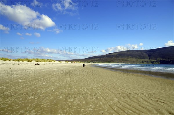 Wide sandy beach under a blue sky with few people at the water's edge, Inch Bay, Dingle, Ireland,