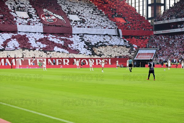 2nd Bundesliga, 1.FC Köln, HSV Hamburg on 02/08/2014 at RheinEnergieStadion in Cologne Germany .