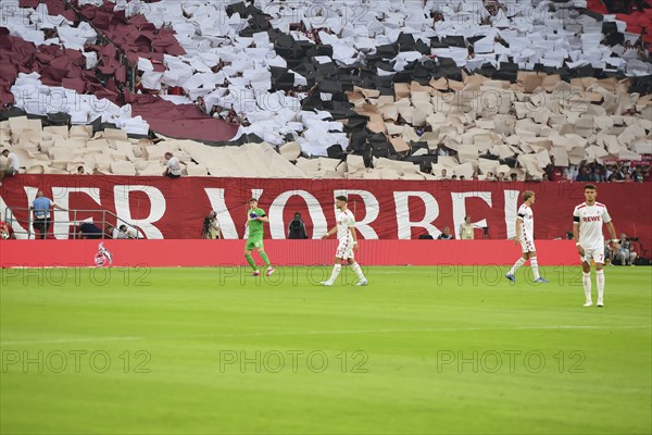 2nd Bundesliga, 1.FC Köln, HSV Hamburg on 02/08/2014 at RheinEnergieStadion in Cologne Germany .