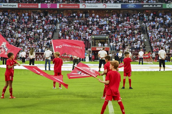 2nd Bundesliga, 1.FC Köln, HSV Hamburg on 02/08/2014 at RheinEnergieStadion in Cologne Germany .