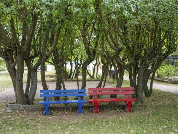 A blue and a red wooden bench under trees at Lake Jersleben next to a campsite, Jersleben,
