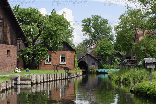 Spree Forest or Spreewald biosphere landscape, Brandenburg, Germany, Europe