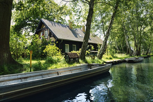 Spree Forest or Spreewald biosphere landscape, Brandenburg, Germany, Europe