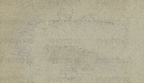 Rough, textured surface with a light beige tone, presenting a minimalistic and abstract appearance