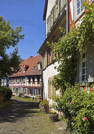 Listed half-timbered houses on the Burggraben in the historic centre of Frankfurt-Höchst, Frankfurt