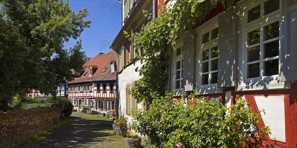 Listed half-timbered houses on the Burggraben in the historic centre of Frankfurt-Höchst, Frankfurt