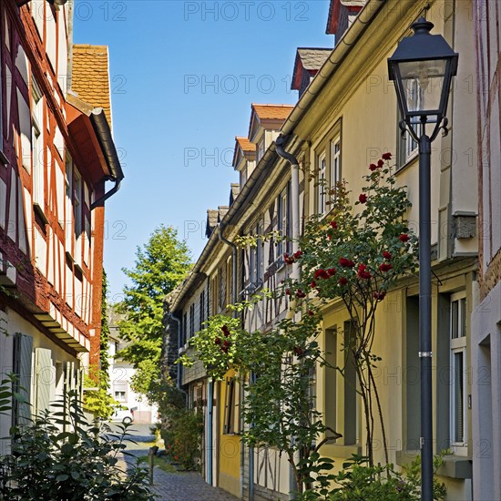 Alley with heritage-protected half-timbered houses in the historic centre of Frankfurt-Höchst,