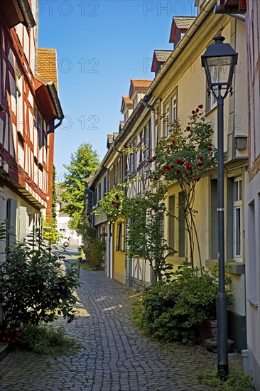 Alley with heritage-protected half-timbered houses in the historic centre of Frankfurt-Höchst,