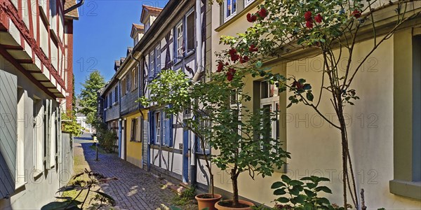 Alley with heritage-protected half-timbered houses in the historic centre of Frankfurt-Höchst,