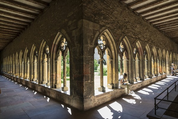 Cloister, Unterlinden Museum, Musée Unterlinden, Colmar, Alsace, France, Europe