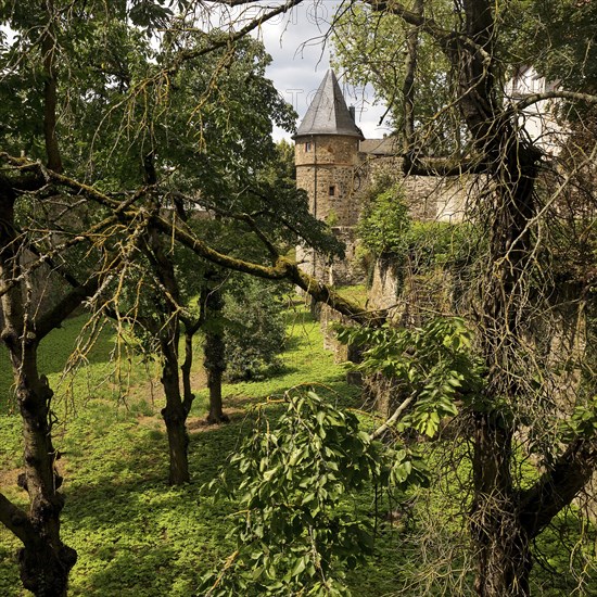 Friedberg Castle, southern castle fortifications with the deep moat, the so-called Hirschgraben,