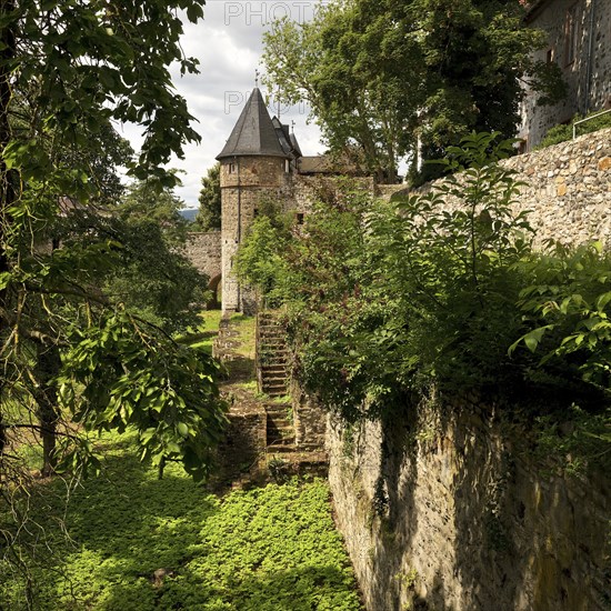 Friedberg Castle, southern castle fortifications with the deep moat, the so-called Hirschgraben,
